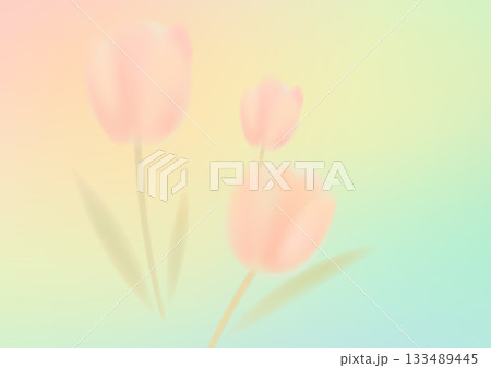 Tulips with colorful gradient for March 8 design 133489445