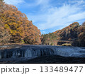 秋の青空と紅葉 133489477