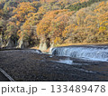 吹割の滝、紅葉 133489478