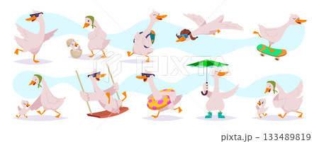 Duck. Cartoon cute goose in different posees exact vector funny birds illustration Duck. Cartoon cute goose in different posees exact vector funny birds illustration 133489819