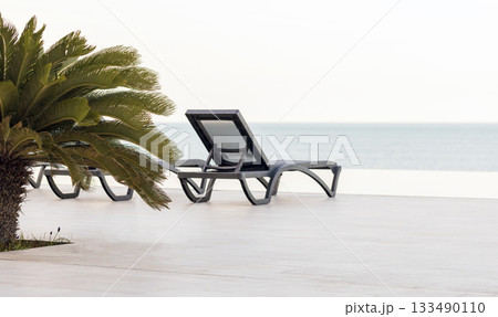 A tranquil poolside scene with sleek black loungers beside a lush palm A tranquil poolside scene with sleek black loungers beside a lush palm 133490110