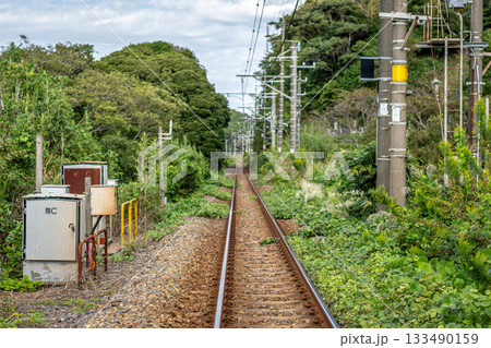千葉県JR内房線の線路、秋の雑草と未来へ続くローカル線 133490159