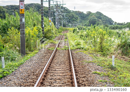 千葉県JR内房線の線路、秋の雑草と未来へ続くローカル線 千葉県JR内房線の線路、秋の雑草と未来へ続くローカル線 133490160