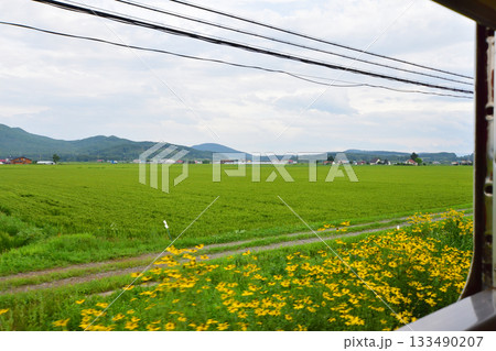 JR北海道石北本線伊香牛駅から桜岡駅間の風景(2023年夏) 133490207