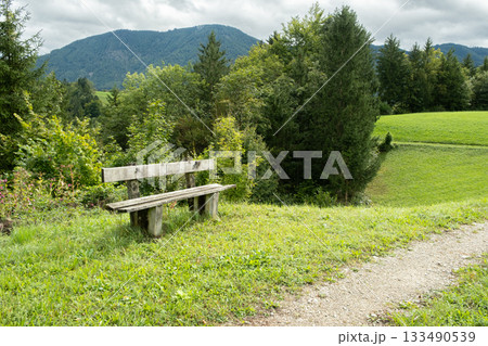 Outdoor recreation. Wooden bench on the lawn of a deciduous forest Outdoor recreation. Wooden bench on the lawn of a deciduous forest 133490539