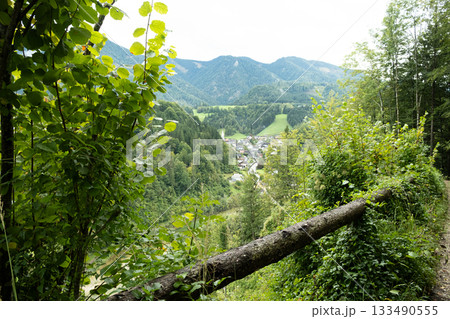 Hiking trail in deciduous forest with mountain views. 133490555