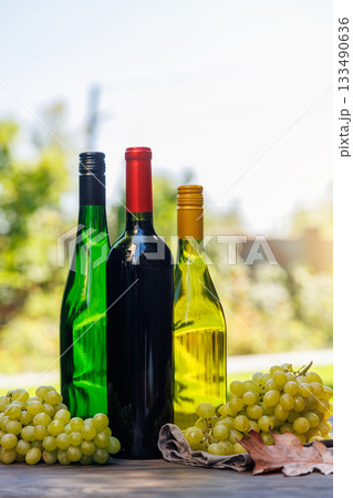 Wine bottles with grapes on a wooden table, glowing with sunny bokeh in the background 133490636
