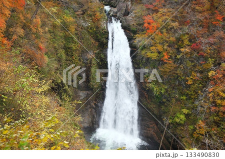 紅葉の秋保大滝 133490830