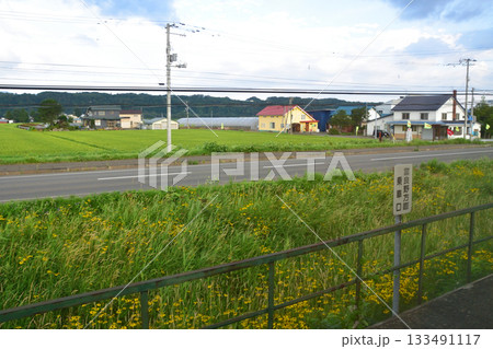 JR北海道富良野線西御料駅から西聖和駅間の風景(2023年夏早朝) 133491117