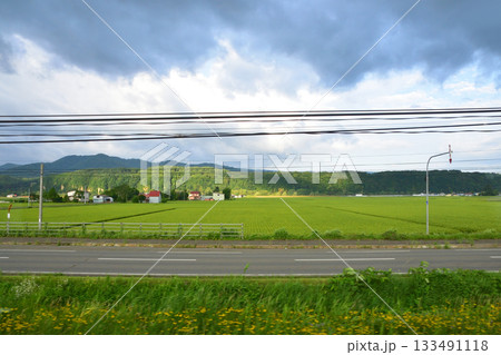 JR北海道富良野線西御料駅から西聖和駅間の風景(2023年夏早朝) JR北海道富良野線西御料駅から西聖和駅間の風景(2023年夏早朝) 133491118