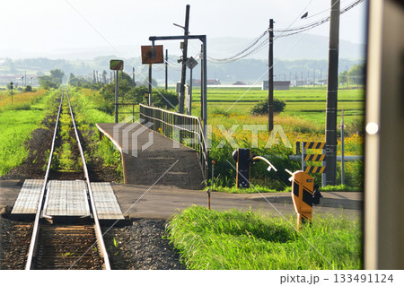 JR北海道富良野線西御料駅から西聖和駅間の風景(2023年夏早朝) JR北海道富良野線西御料駅から西聖和駅間の風景(2023年夏早朝) 133491124