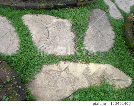 Garden Pathway with Leaf Patterned Stepping Stones Surrounded by Lush Grass Garden Pathway with Leaf Patterned Stepping Stones Surrounded by Lush Grass 133491400