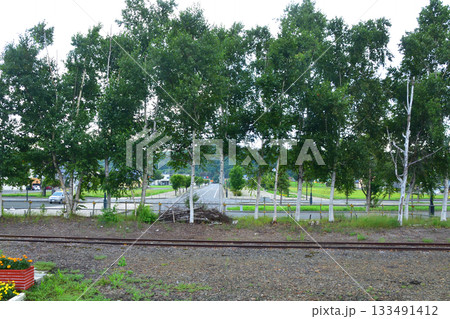 JR北海道富良野線北美瑛駅から美馬牛駅間の風景(2023年夏早朝) 133491412