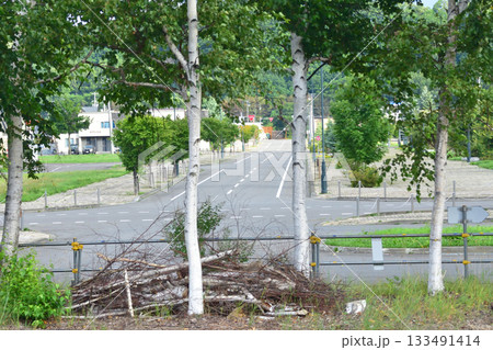 JR北海道富良野線北美瑛駅から美馬牛駅間の風景(2023年夏早朝) 133491414