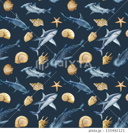 Shark seashell starfish watercolor marine pattern with hammerhead whale shark and ocean shells on dark background Shark seashell starfish watercolor marine pattern with hammerhead whale shark and ocean shells on dark background 133492121