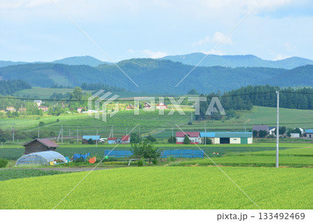 JR北海道富良野線美馬牛駅から西中駅間の風景(2023年夏早朝) 133492469