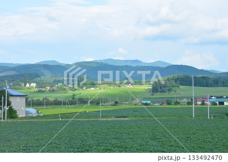 JR北海道富良野線美馬牛駅から西中駅間の風景(2023年夏早朝) JR北海道富良野線美馬牛駅から西中駅間の風景(2023年夏早朝) 133492470