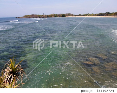 Ocean View Through Coastal Pandanus Trees with Waves Crashing on a Sunny Day Ocean View Through Coastal Pandanus Trees with Waves Crashing on a Sunny Day 133492724