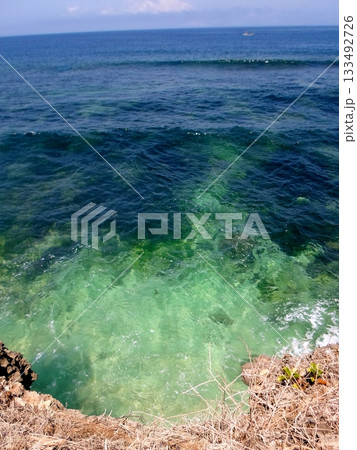 Exposed Prop Roots of a Coastal Tree in a Dry Tropical Environment with Sandy Soil Exposed Prop Roots of a Coastal Tree in a Dry Tropical Environment with Sandy Soil 133492726