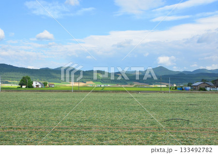 JR北海道富良野線西中駅から鹿討駅間の風景(2023年夏早朝) JR北海道富良野線西中駅から鹿討駅間の風景(2023年夏早朝) 133492782