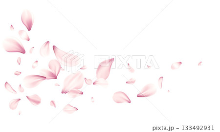 Pink Petals Scatter Across White Background In Soft Romantic Flower Splash Delicate Petal Motion Artwork Pink Petals Scatter Across White Background In Soft Romantic Flower Splash Delicate Petal Motion Artwork 133492931