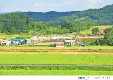 JR北海道富良野線鹿討駅から富良野駅間の風景(2023年夏早朝) 133493047