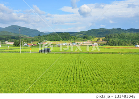 JR北海道富良野線鹿討駅から富良野駅間の風景(2023年夏早朝) 133493048