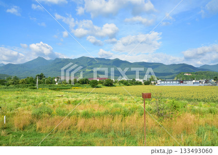 JR北海道富良野線鹿討駅から富良野駅間の風景(2023年夏早朝) JR北海道富良野線鹿討駅から富良野駅間の風景(2023年夏早朝) 133493060