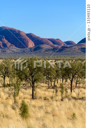 オーストラリアにあるカタジュタのとても美しい風景 オーストラリアにあるカタジュタのとても美しい風景 133493110