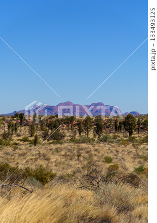 オーストラリアにあるカタジュタのとても美しい風景 133493125