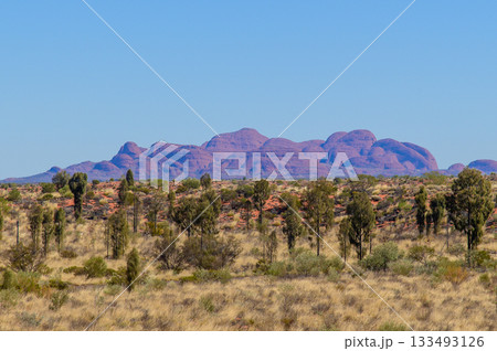 オーストラリアにあるカタジュタのとても美しい風景 133493126