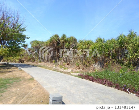 A Paved Coastal Pathway Surrounded by Lush Greenery and Dry Vegetation Under a Clear Sky 133493147