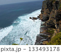 Waves Crashing Against a Cliffside with Rocky Shores and Greenery Under a Clear Sky 133493178