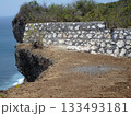 A Monkey on a Stone Wall Near a Cliffside with the Ocean in the Background and Sparse Vegetation 133493181