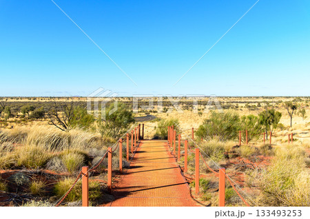 オーストラリアにあるウルルで眺める荒野の壮大な絶景 133493253
