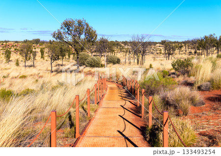オーストラリアにあるウルルで眺める荒野の壮大な絶景 133493254