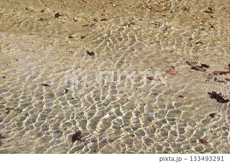 金色の模様を描く清流 金色の模様を描く清流 133493291