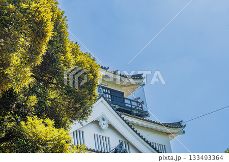岡崎市の岡崎城の風景(愛知県) 133493364