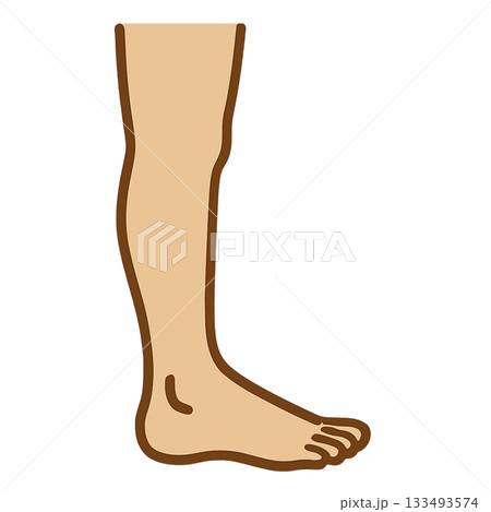 脚のシンプルなイラスト 133493574