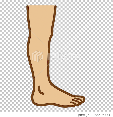 脚のシンプルなイラスト 133493574
