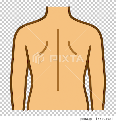 背中のシンプルなイラスト 133493581