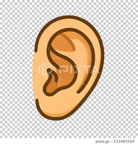 耳朵的簡單示意圖 133493584