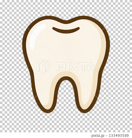牙齒的簡單說明 133493589