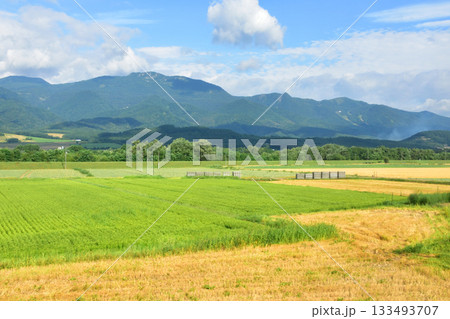 JR北海道根室本線富良野駅から山部駅までの風景(2023年夏) JR北海道根室本線富良野駅から山部駅までの風景(2023年夏) 133493707