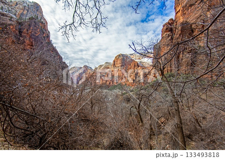 Zion National Park winter canyon landscape 133493818