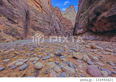 Zion National Park winter canyon landscape Zion National Park winter canyon landscape 133493821