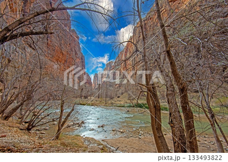 Zion National Park winter canyon landscape Zion National Park winter canyon landscape 133493822