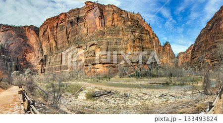 Zion National Park winter canyon landscape 133493824