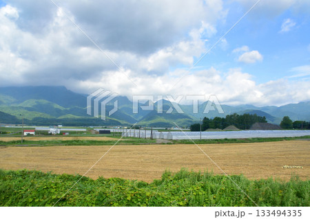 JR北海道根室本線、山部駅から金山駅までの風景(2023年夏) JR北海道根室本線、山部駅から金山駅までの風景(2023年夏) 133494335
