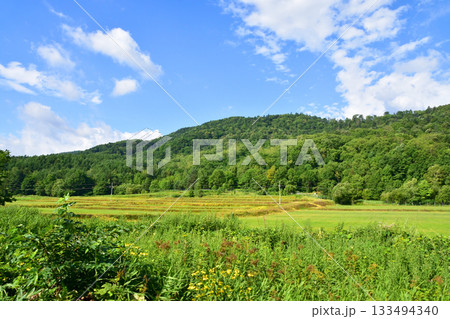 JR北海道根室本線、山部駅から金山駅までの風景(2023年夏) 133494340